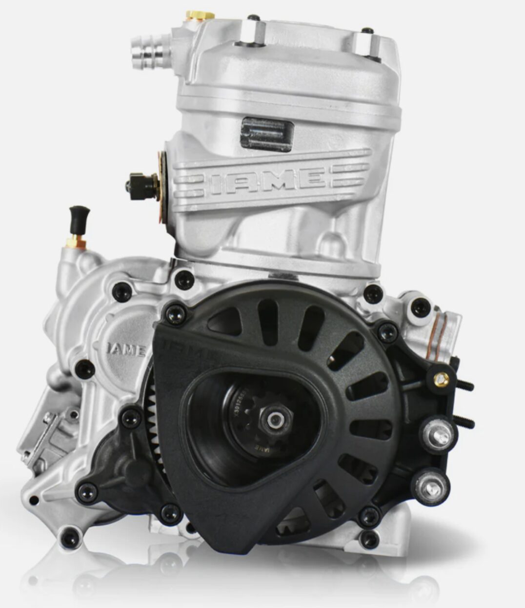 IAME X30 TAG COMPLETE ENGINE PACKAGE