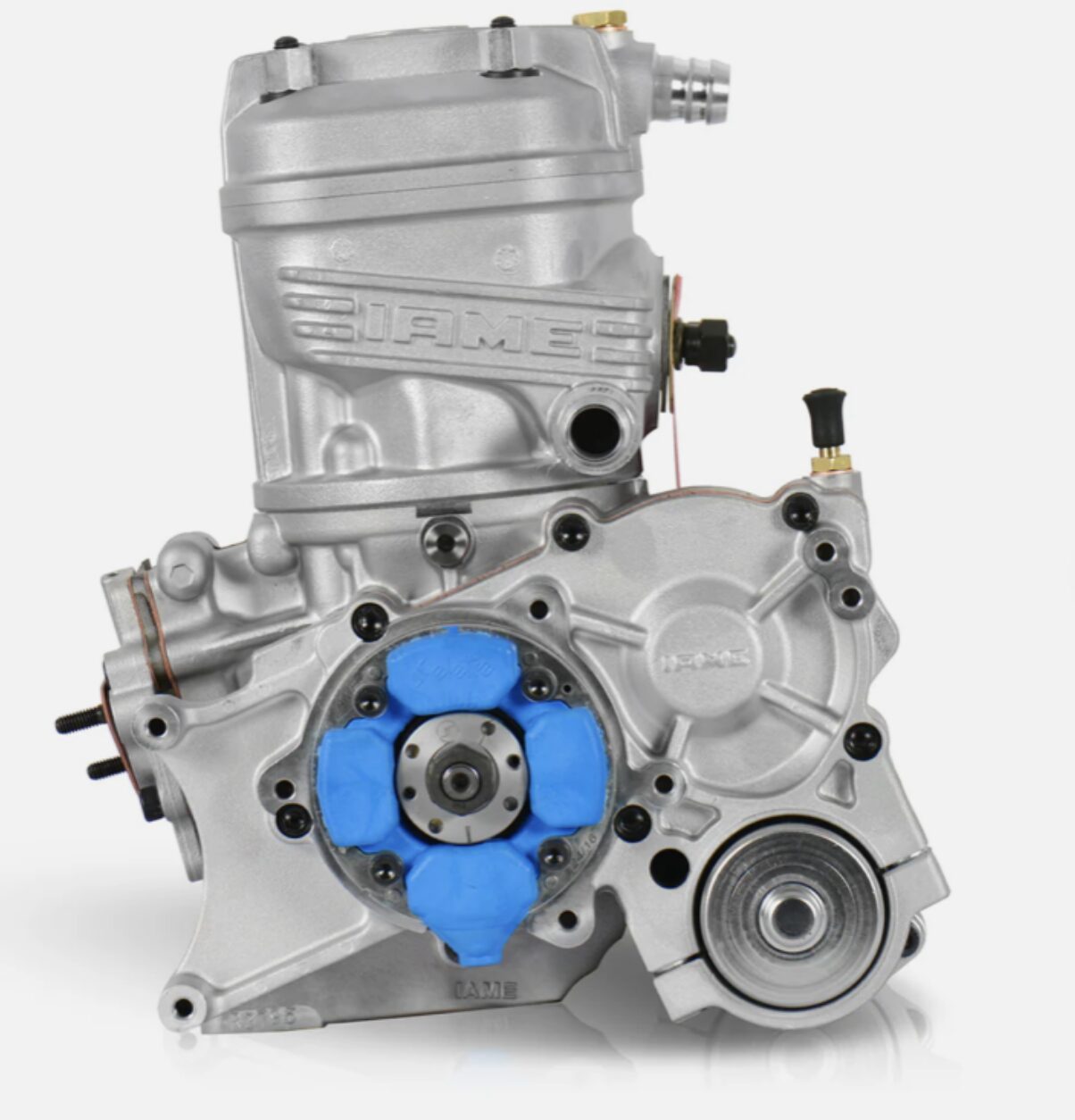 IAME X30 TAG COMPLETE ENGINE PACKAGE